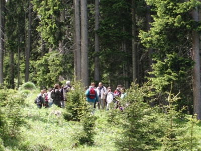 esercitazioni in ambiente alpino