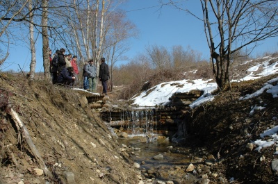 ingegneria naturalistica